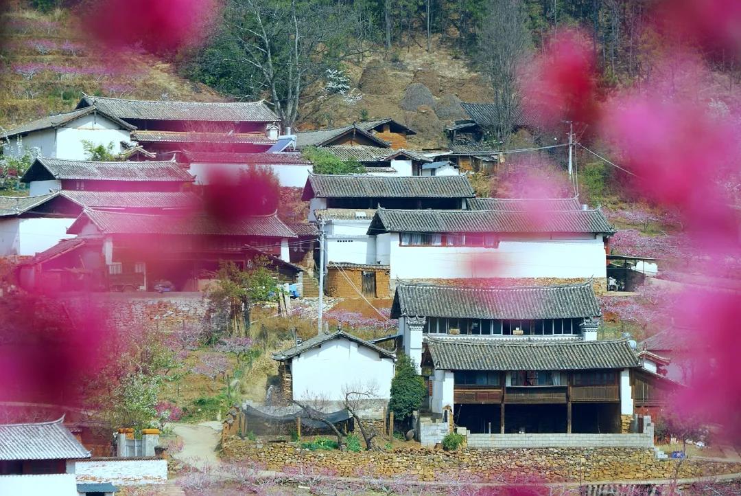 “郭靖”、“黃蓉”喊你來“桃花島”過日子……