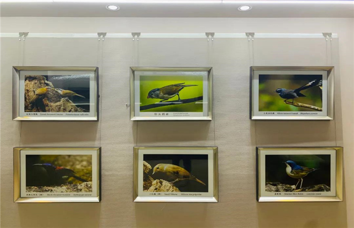 多維度展示滇西北生物多樣性！麗江這個中心值得一去