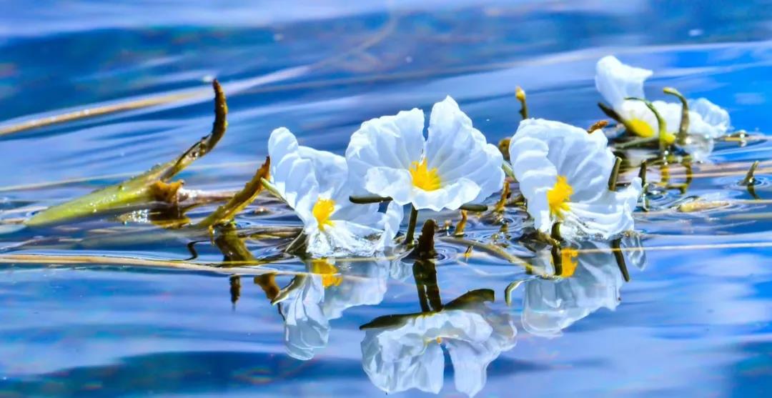 糟糕！瀘沽湖的“水性楊花”，讓我有了心動的感覺！