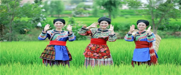 相約水鄉，邂逅激情！華坪縣新莊鄉首屆鄉村旅游節即將開幕