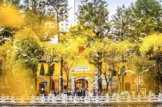 麗江旅游攻略：來云南邂逅不一樣的冬天，體驗麗江非遺文化